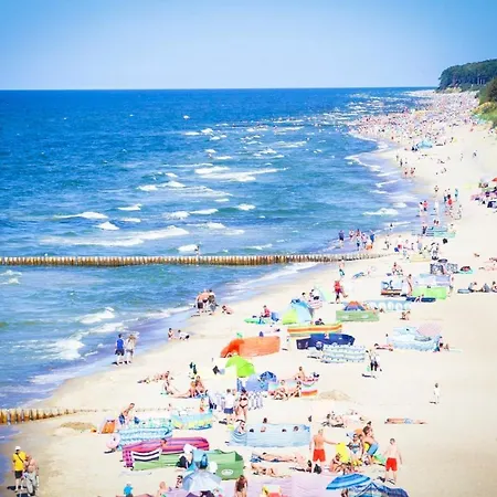 Klifowa 32 아파트 레왈