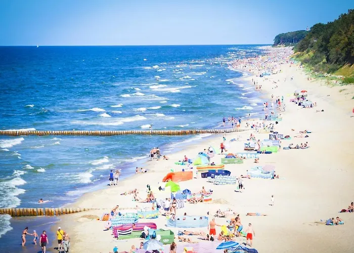 Klifowa 32 Apartman Rewal